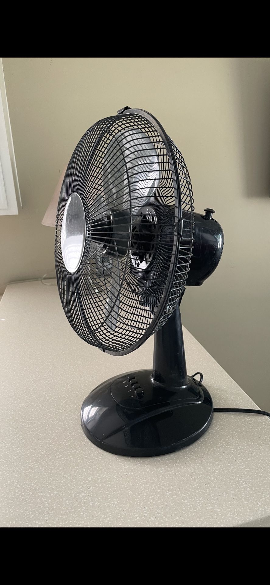 Fan