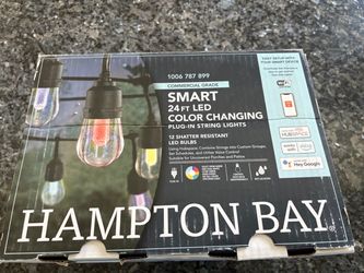 Hampton Bay smart 24 ft color changing stringlights