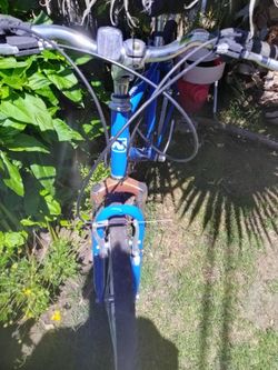 NISHIKI TAMARAC