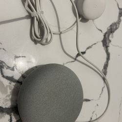 Google Nest Mini