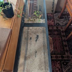 Aquarium Tank 