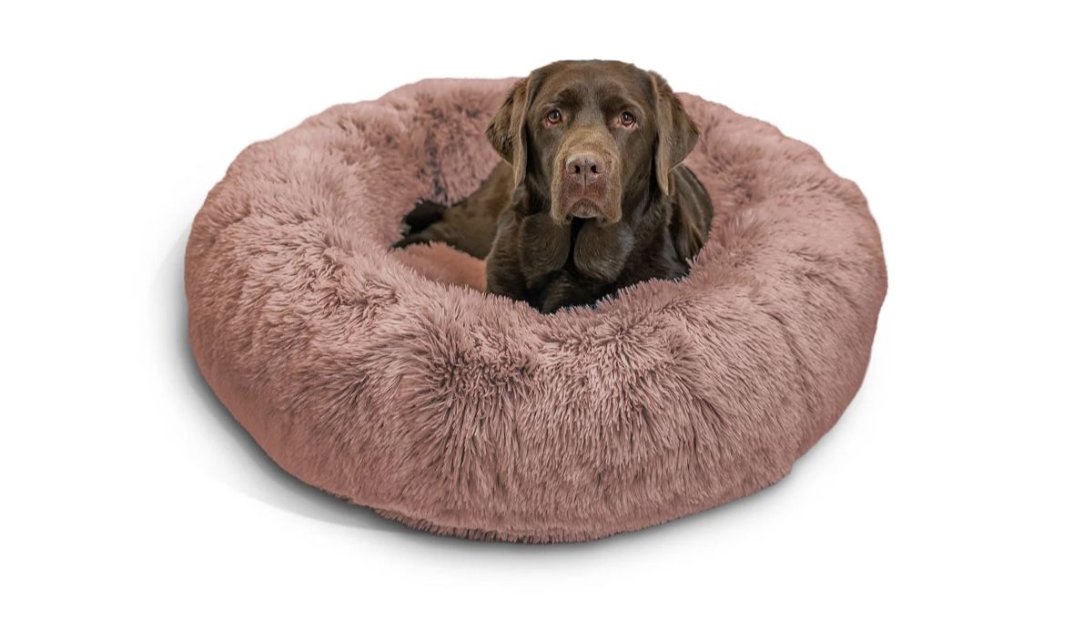 Best Friends by Sheri Calming Donut Dog Bed