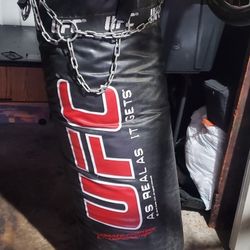 UFC  As Real As It Gets Punching Bag