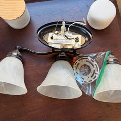 Bathroom light fixture