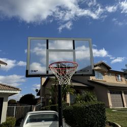 Basketball Hoop