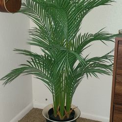 Fake Plant