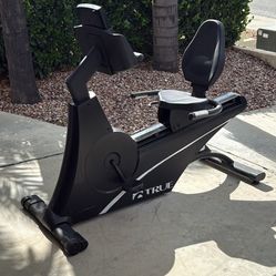 TRUE Recumbent Exercise Bike