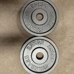 25 Lb Barbell Weights 