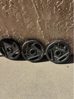 25lbs plates