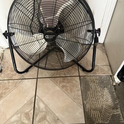 Fan