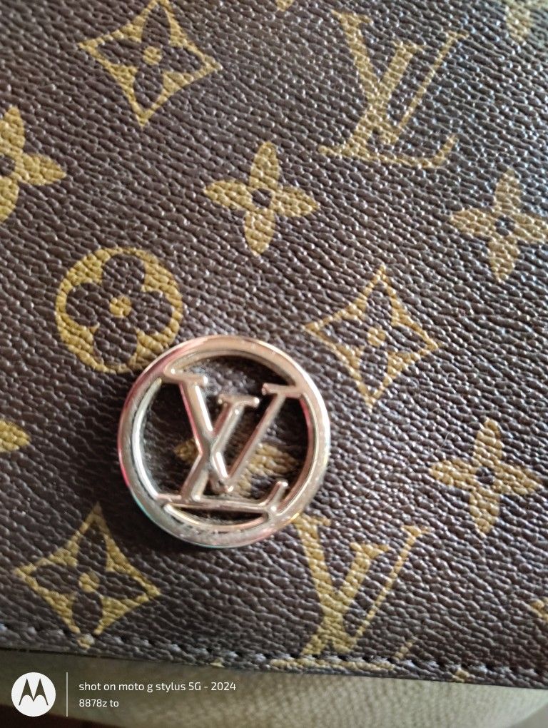 louis vuitton handbags 2 Colors