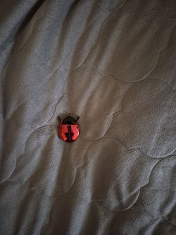 Ladybug vintage watch