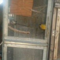 Bird CAGE 