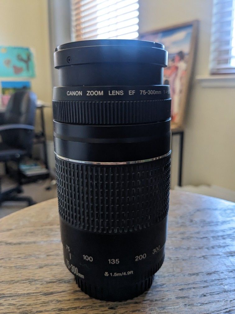 Canon Zoom Lens EF 75-300mm
