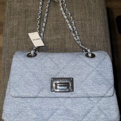 Aldo Purse