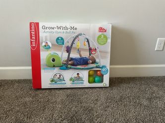 Activity Gym and Ball Pit