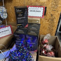 Roman Multifunction LED Indoor/Outdoor 62ft Christmas Lights