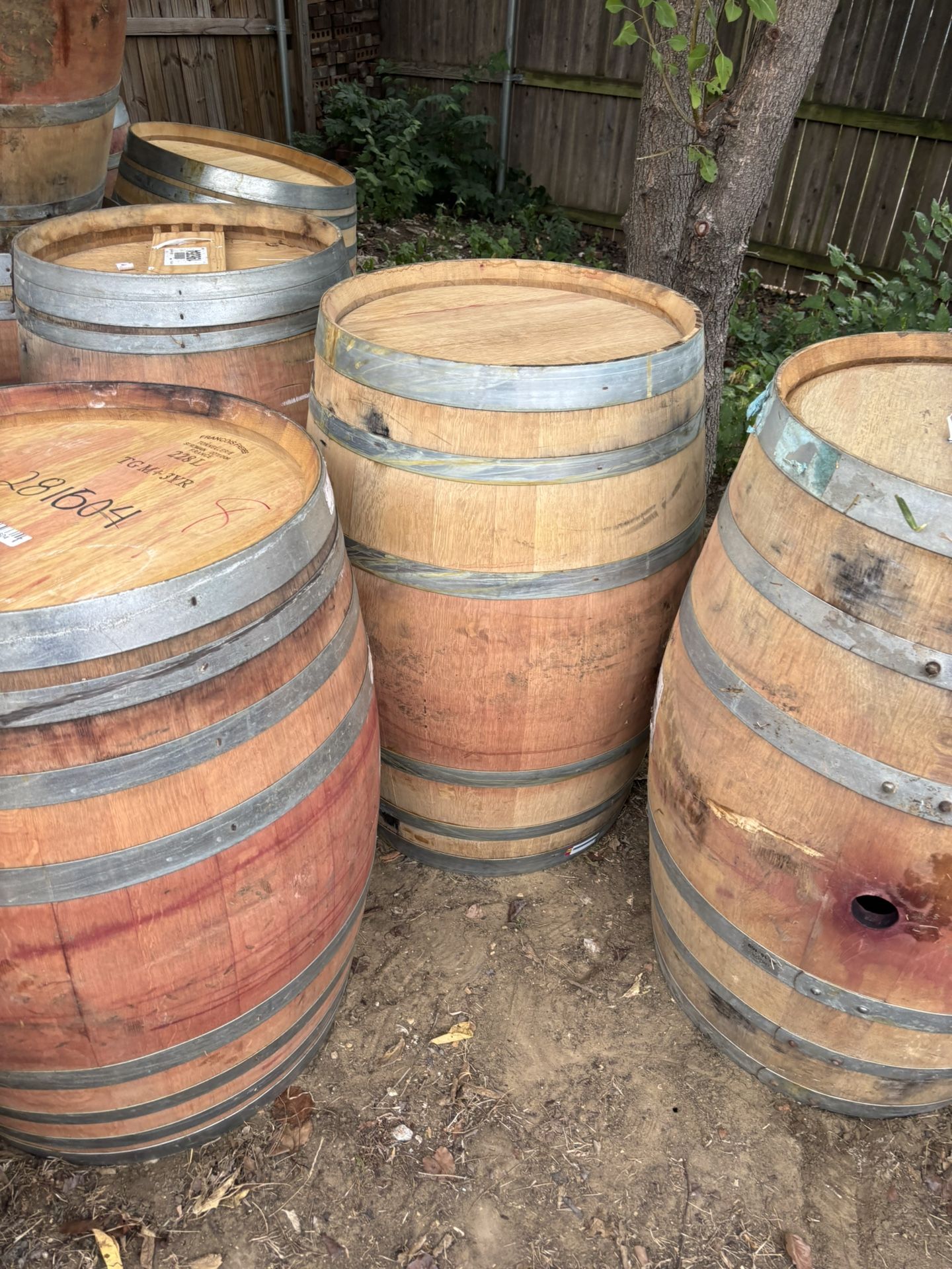 Oak Barrels For Sale