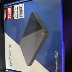 SSD 256 GB G Storategy