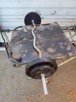 Curl bar & weights