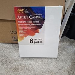 Artist Canvas 6 Pack New