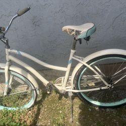 Beach Cruiser 