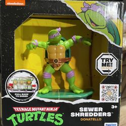 Teenage Mutant Ninja Turtle Toy