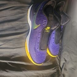 Nike Zoom LeBron NXXT Gen Basketball Shoes