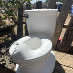 Toddler Potty Training 
