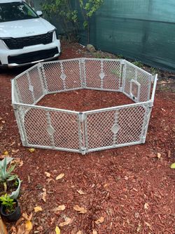 Dog 🐕 pet cage