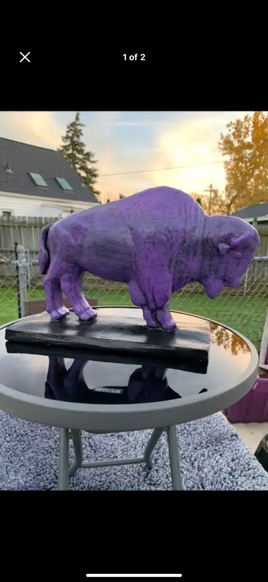 The Purple Buffalo
