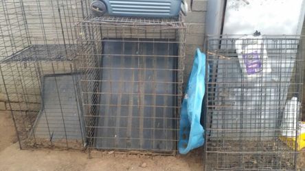 Dog kennels