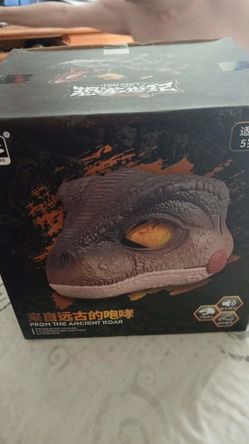 From The Anicent Roar Helmet