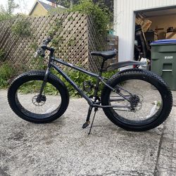 Mongoose Fat Tire Bike