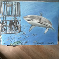 Cage Diving