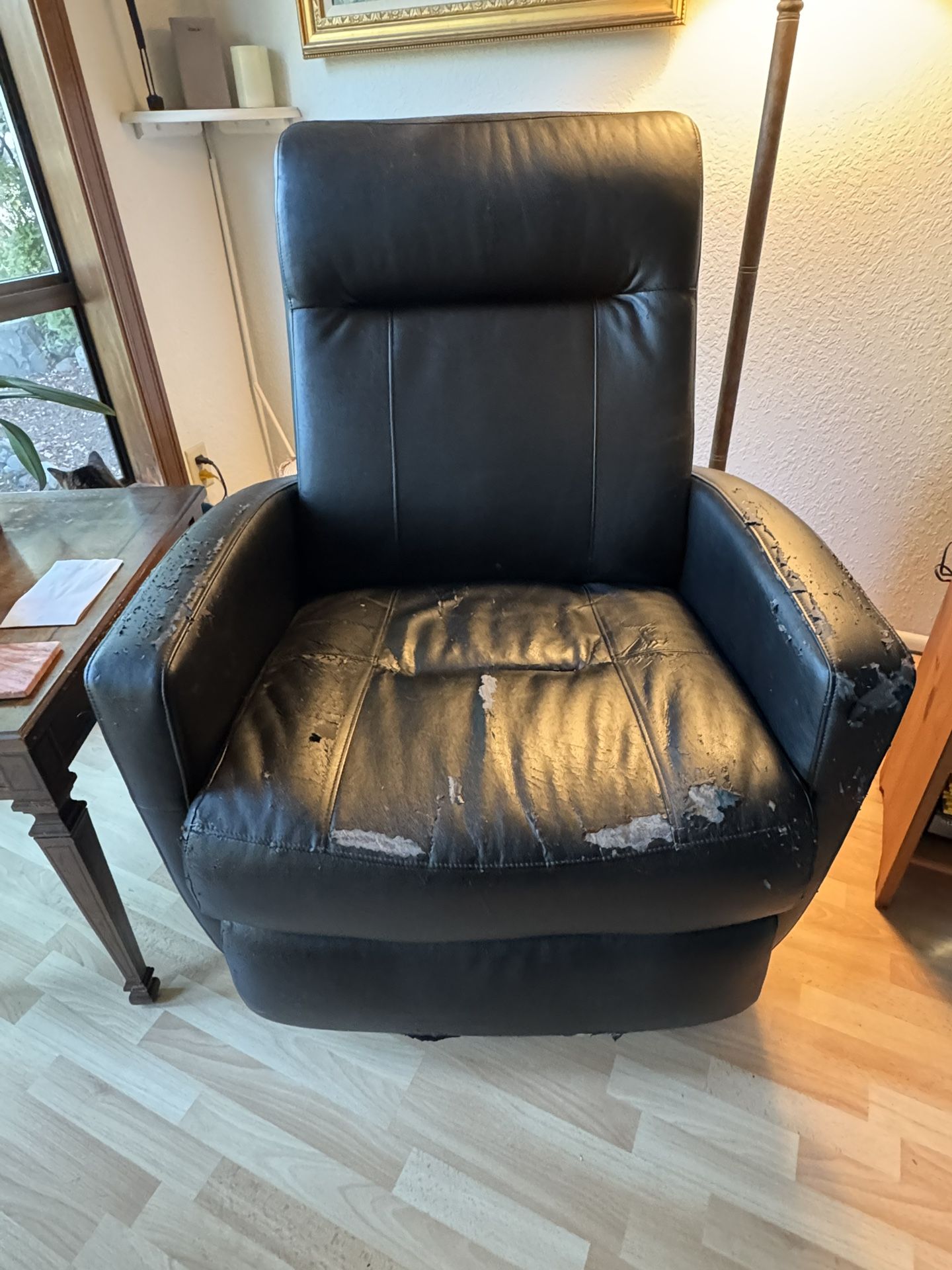 Free Power Recliner