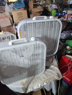 Box Fans