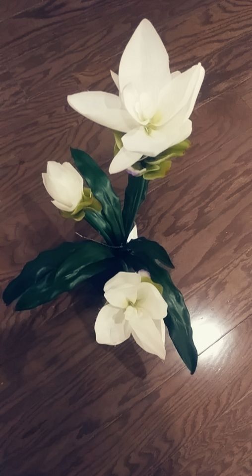 Decoration