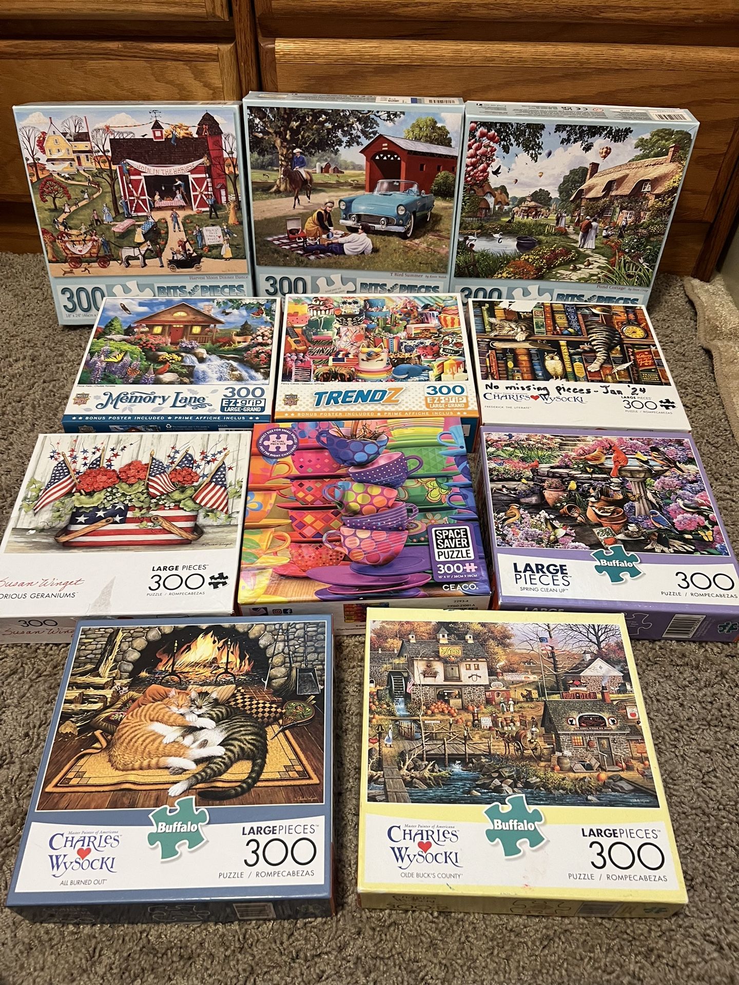 11-300 Piece Puzzles
