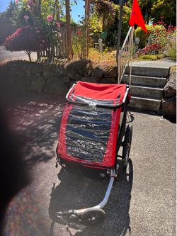 Burley Bee double bike trailer