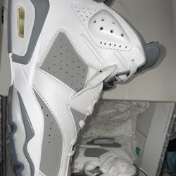 jordan 6s cool grey
