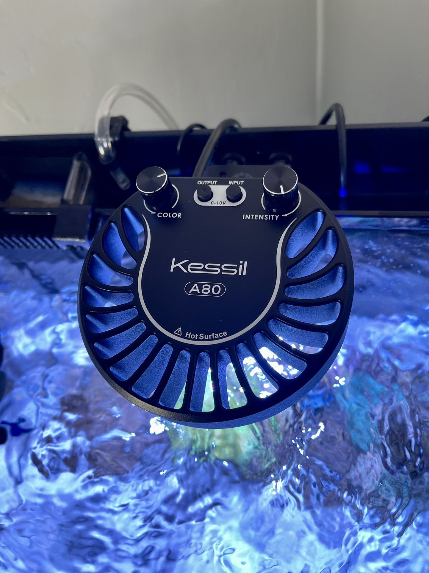 Kessil A80