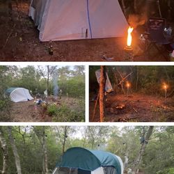 1 Acre Land Ocala National Forest 