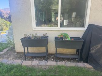 2 Raised Garden Beds