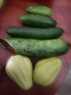 Pepinos organicos
