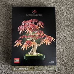 Japanese Maple Tree