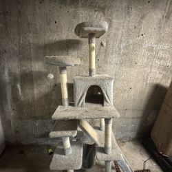 Cat tree And Scratch Pad 