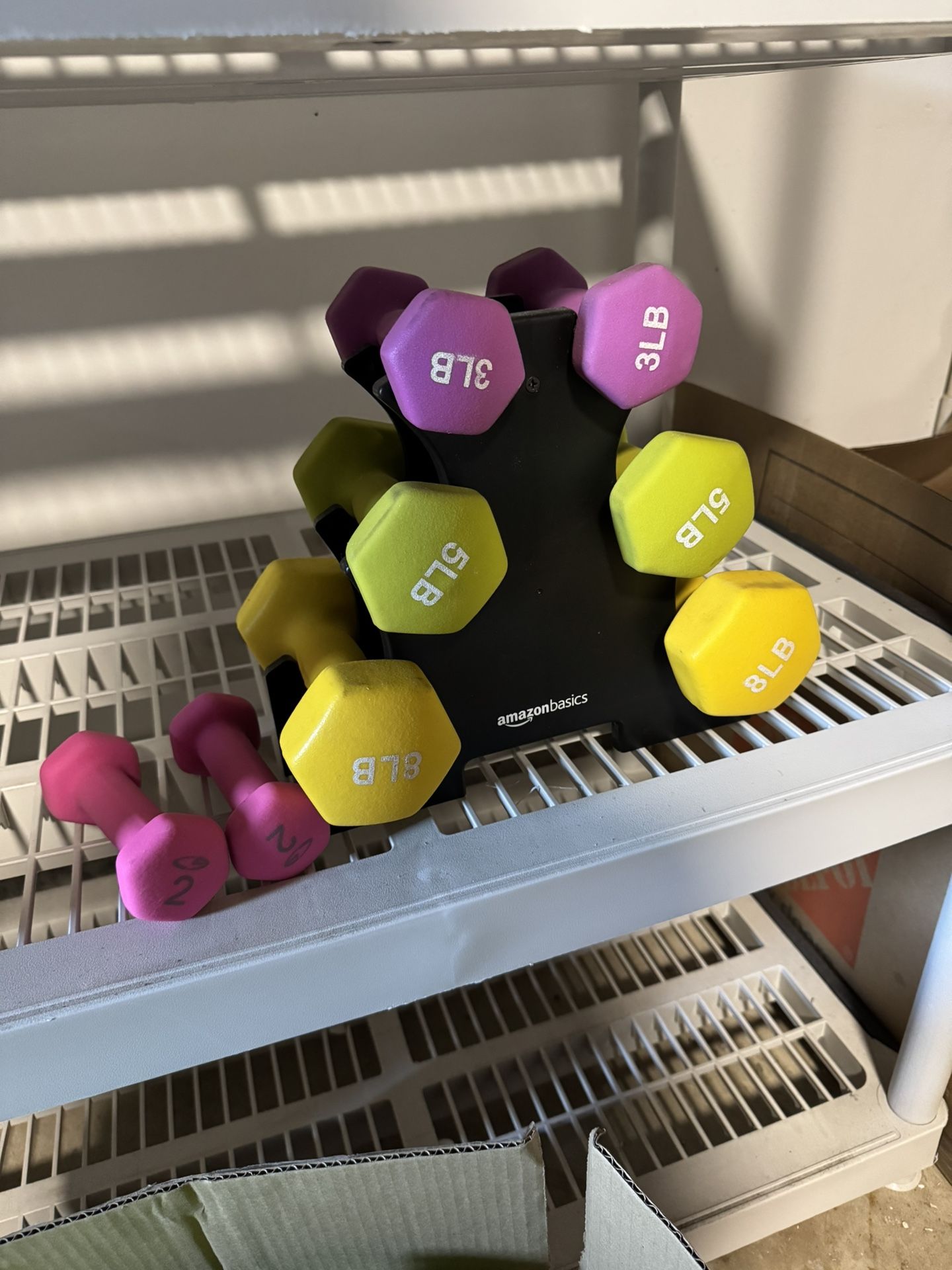 Dumbbells 2,3,5,8 Lb Set