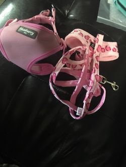 Dog harness and leash