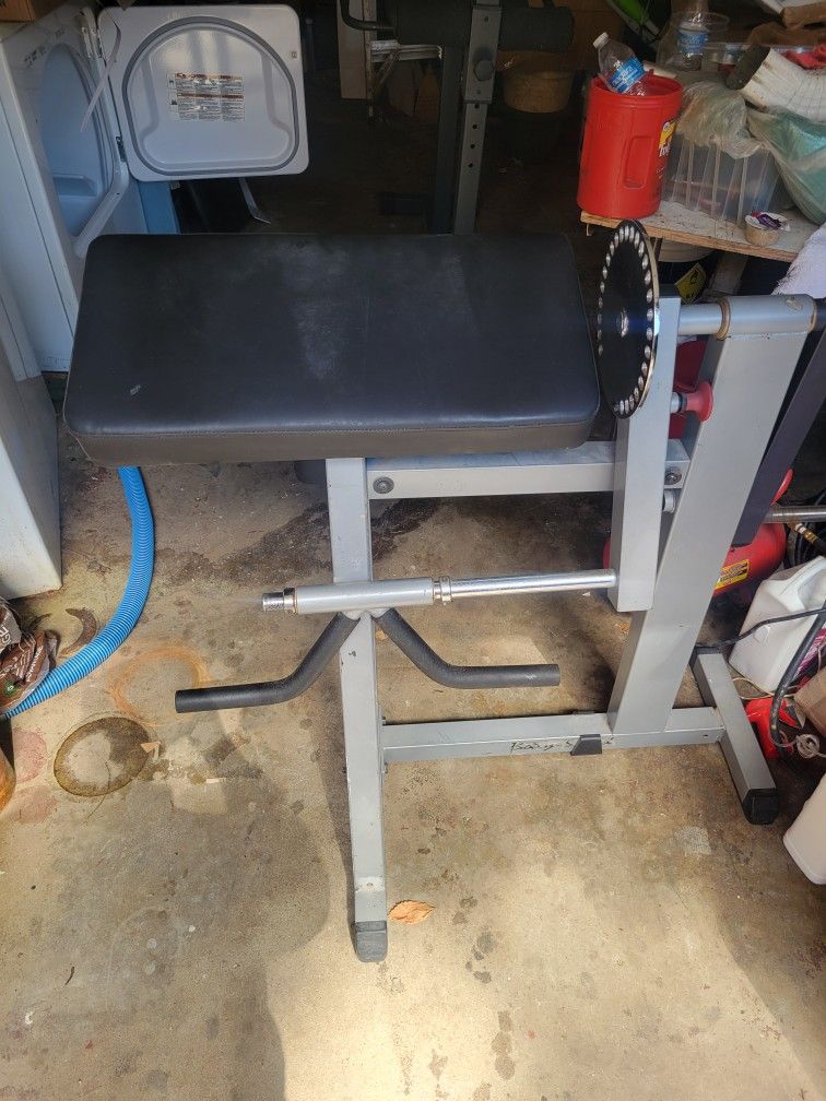 Bicep Plate Loaded And Lower Back Machine